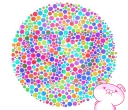 🤓 emoji 你有色盲的問題嗎? Telegram sticker 24 of 40
