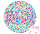 🤓 emoji 你有色盲的問題嗎? Telegram sticker 5 of 40