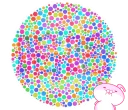 🤓 emoji 你有色盲的問題嗎? Telegram sticker 12 of 40