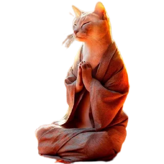 🙏 emoji Neko @stikerkyo Telegram sticker 21 of 106