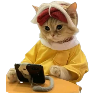 🐱 emoji Neko @stikerkyo Telegram sticker 22 of 106