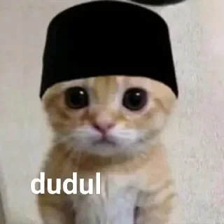 🥺 emoji Circle roblok Telegram sticker 7 of 13