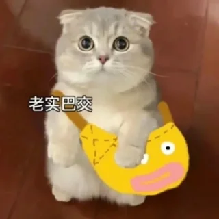 🥺 emoji 小可爱 Telegram sticker 20 of 44