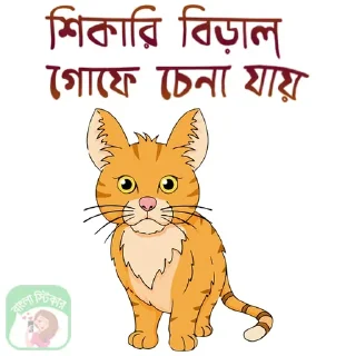 🐱 emoji BENGALI CHATTING HUB Telegram sticker 10 of 72