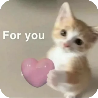 🐱 emoji kinay packk Telegram sticker 22 of 32