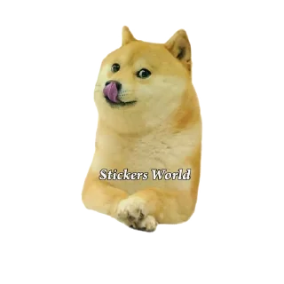 😝 emoji @stickersworld_offl Cheems Stickers Telegram sticker 11 of 18