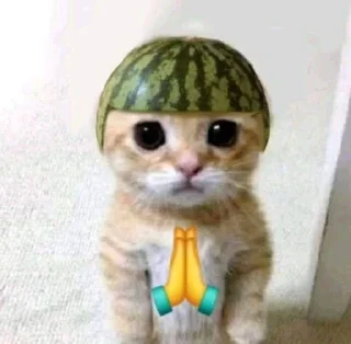 😍 emoji kocheng imoet Telegram sticker 7 of 18