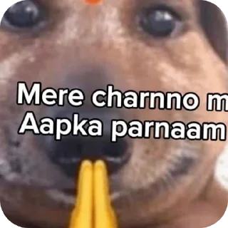 👍 emoji My favourite Telegram sticker 9 of 54