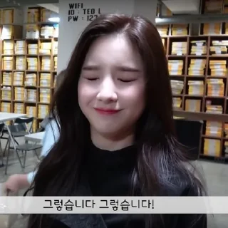 🧇 emoji Heejin @aesthaticgirll Telegram sticker 17 of 35