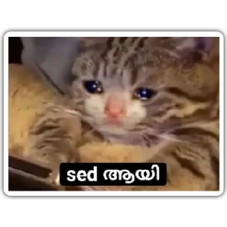 🥺 emoji @Farseen_king_of_telegram For You Telegram sticker 10 of 120