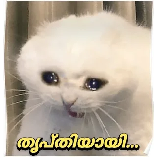 🥺 emoji @Farseen_king_of_telegram For You Telegram sticker 14 of 120