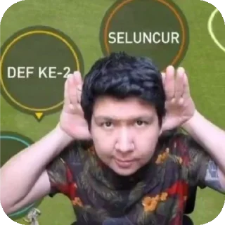 🙂 emoji windah hasibuana Telegram sticker 6 of 21