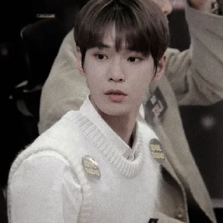 🦟 emoji DOYOUNG ┼╌ׄ @PARTNERMU Telegram sticker 22 of 23