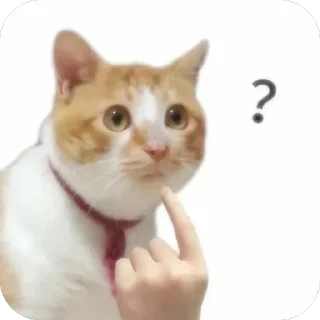 🫥 emoji 👻aame👻 Telegram sticker 23 of 86