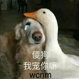 Sticker from 修车高端会所 中越菲联系 @xgda6