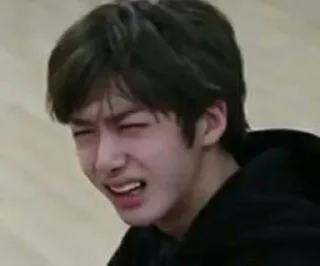 😔 emoji @dicipunyasticker kpop meme Telegram sticker 17 of 70