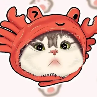 🌟 emoji @Opstickerpacks ✨cute cats⚡️🌸 Telegram sticker 24 of 36