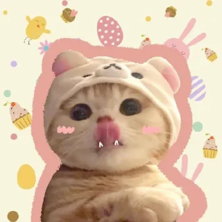 🌟 emoji @Opstickerpacks ✨cute cats⚡️🌸 Telegram sticker 17 of 36