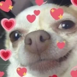 🥰 emoji you gonna use Telegram sticker 19 of 34