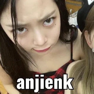🐩 emoji goblok dipelihara Telegram sticker 10 of 13