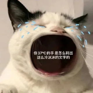 😌 emoji 高速代理 @hgwzcd Telegram sticker 23 of 117
