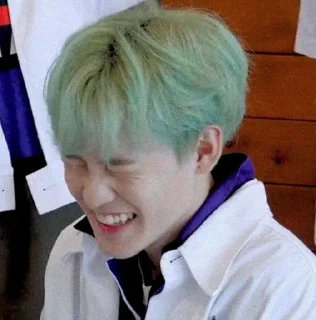 🐍 emoji chenle @stickernct Telegram sticker 24 of 35