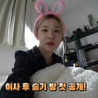 Sticker from seulgi rv ⋆ @hearthumps