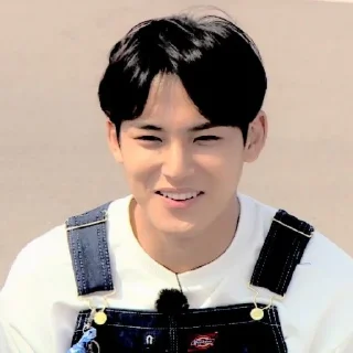 🧇 emoji 𓍼𓈒 mingyu — @stickerseventeen Telegram sticker 13 of 25