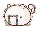 🐱 emoji Round and Pretty Cat Telegram sticker 8 of 40