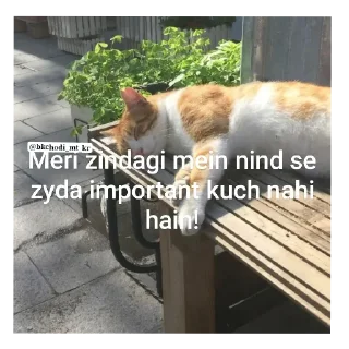🐱 emoji SUDHAR JA Telegram sticker 5 of 32