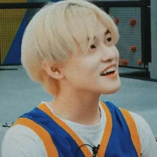 🐬 emoji chenle by @nctdreamstiker Telegram sticker 13 of 18