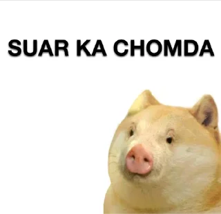 🐷 emoji @Rzb_Razor Maa ka Bhosda | By @MysticOp Telegram sticker 9 of 21