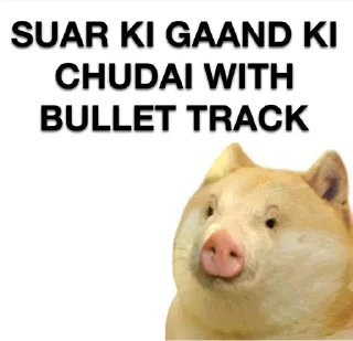 🐷 emoji @Rzb_Razor Maa ka Bhosda | By @MysticOp Telegram sticker 21 of 21