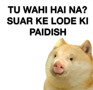 🐷 emoji @Rzb_Razor Maa ka Bhosda | By @MysticOp Telegram sticker 5 of 21