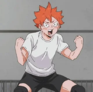 Sticker from Hinata Shoyo / @anime_sticker_pack