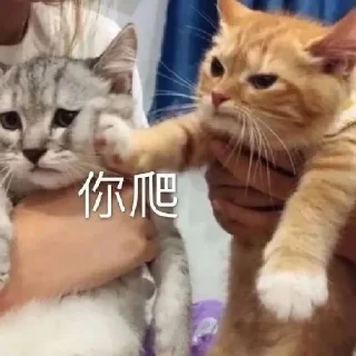 🤒 emoji 叶子专用贴纸 Telegram sticker 21 of 120