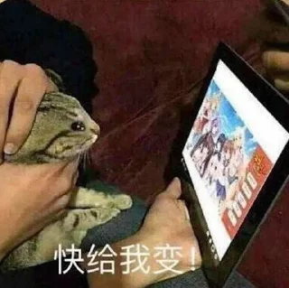 Sticker from 猫猫专用贴纸包 @mengxinsetu