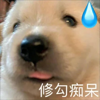 😅 emoji 呱呱 @bidaobi Telegram sticker 23 of 40