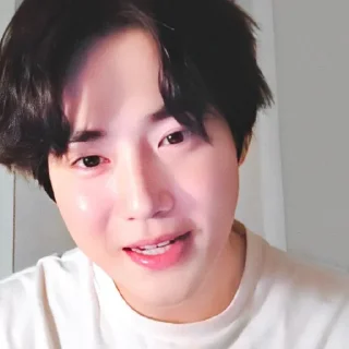 🕸 emoji @ALDBRN008 suho Telegram sticker 18 of 38