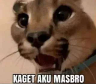 Sticker from apa coba @userhenjx1