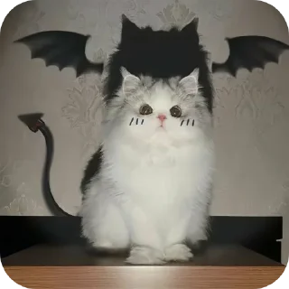 🐱 emoji ಕುಕೀ >>🌻🌃 @cokipfp Telegram sticker 11 of 45