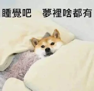❤️ emoji 娃娃大h的包 Telegram sticker 21 of 120