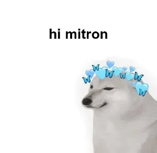 Sticker from Chat memes by insane @d_sassy_soul