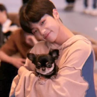 🧸 emoji dongpyo @bigelpunya Telegram sticker 13 of 35
