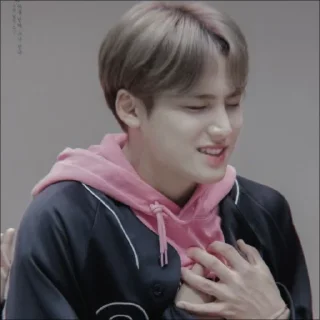 🕷 emoji mingyu @bigelpunya Telegram sticker 10 of 38