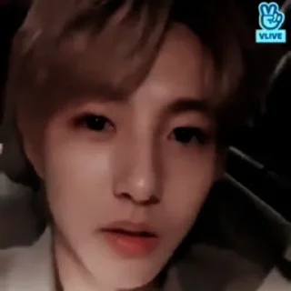 🐼 emoji ʚ Huang Renjun ꉂ𓃠𓏧 @stickernct ɞ Telegram sticker 15 of 20