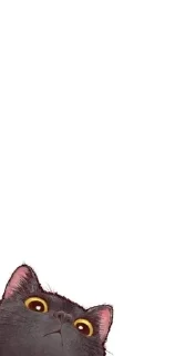 🌟 emoji Cutiecatty Telegram sticker 4 of 32