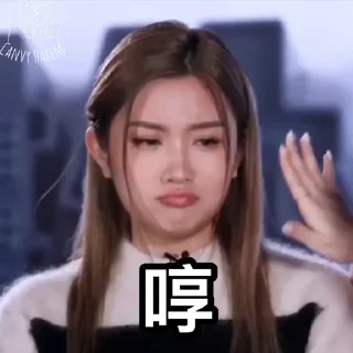 ☹️ emoji <後宮唧夫圖V> Telegram sticker 5 of 49
