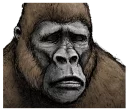 🙁 emoji Gorilla gorilla @stickerscar Telegram sticker 21 of 40