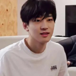 📍 emoji Wonwoo by @gdboyy Telegram sticker 16 of 41